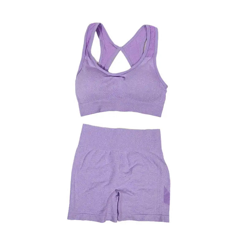 Womens Fitness Yoga Suit Sports Set Sports Bra Shorts - Fuzzy Sports