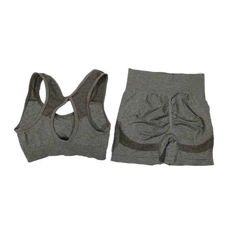 Womens Fitness Yoga Suit Sports Set Sports Bra Shorts - Fuzzy Sports