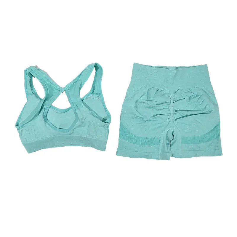 Womens Fitness Yoga Suit Sports Set Sports Bra Shorts - Fuzzy Sports
