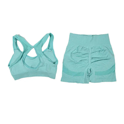 Womens Fitness Yoga Suit Sports Set Sports Bra Shorts - Fuzzy Sports