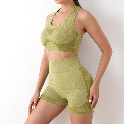 2PCS Seamless Women Yoga Set Workout Sportswear Gym Clothing Fitness Long Sleeve Crop Top High Waist Shorts Sports Suit - Fuzzy Sports