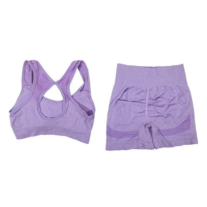 Womens Fitness Yoga Suit Sports Set Sports Bra Shorts - Fuzzy Sports