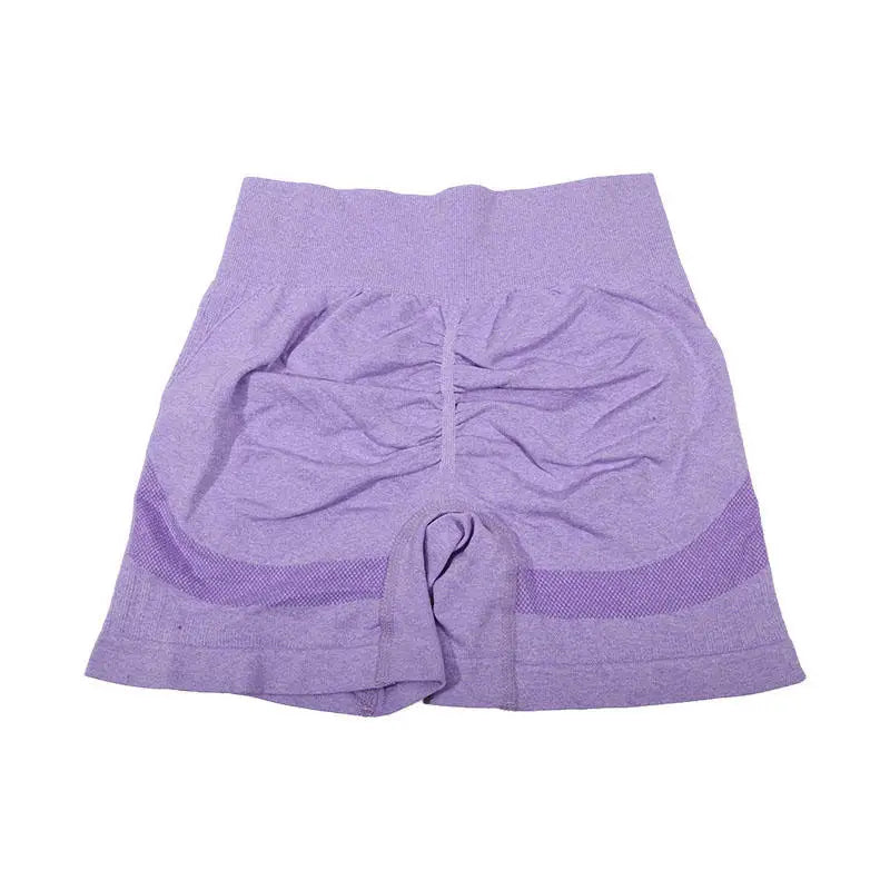 Womens Fitness Yoga Suit Sports Set Sports Bra Shorts - Fuzzy Sports